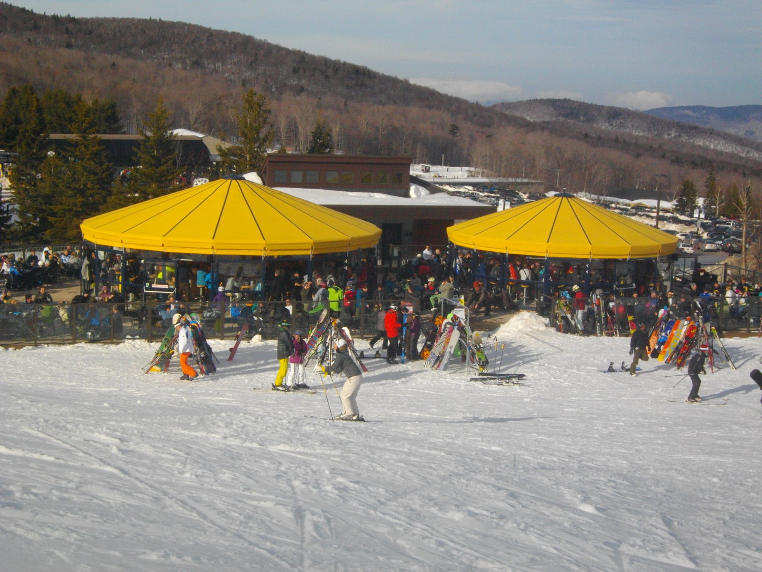 The Roaring Brook Umbrella Bar