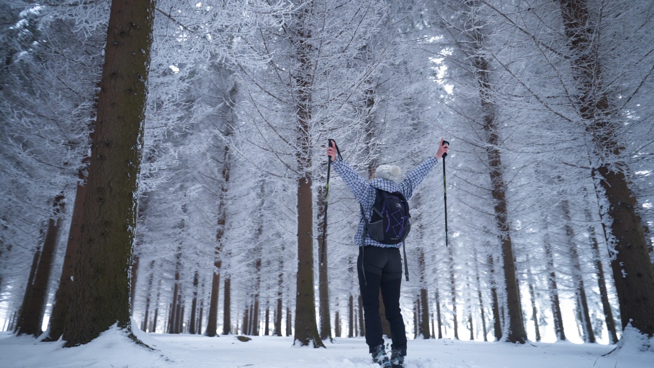 ski travel